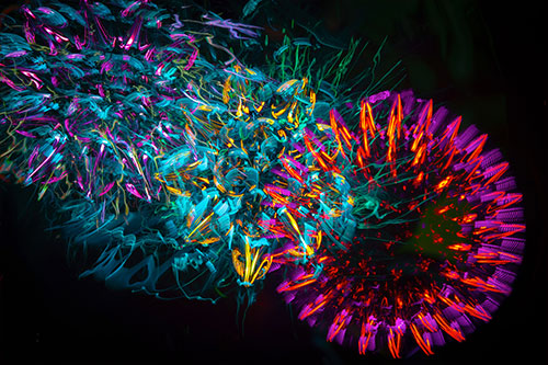 给大家盘点10位著名的logo图标设计师