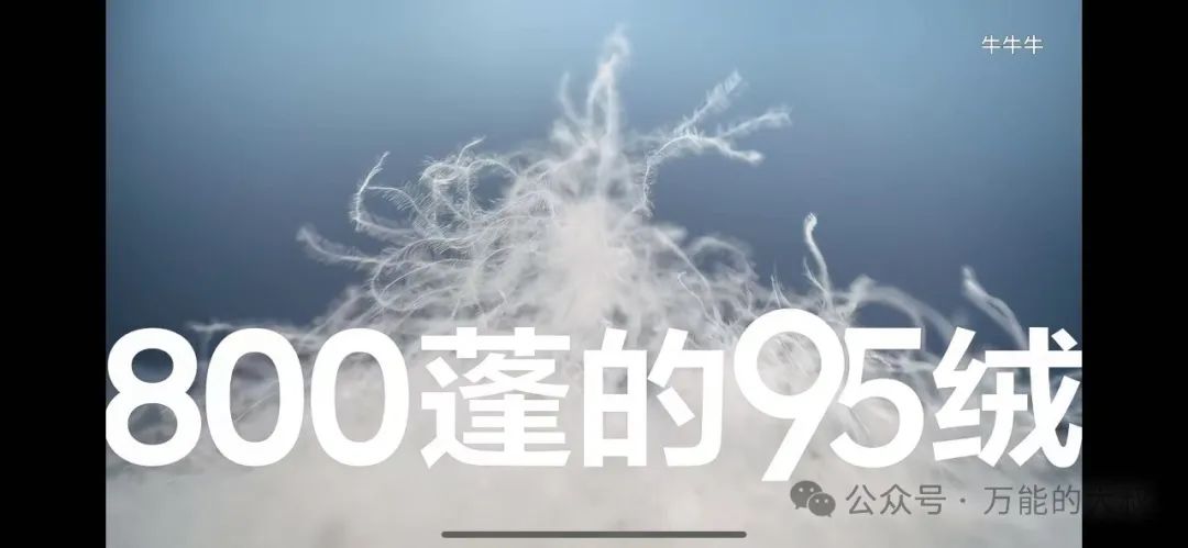 1730797543297142.jpg 1730797543297142.jpg